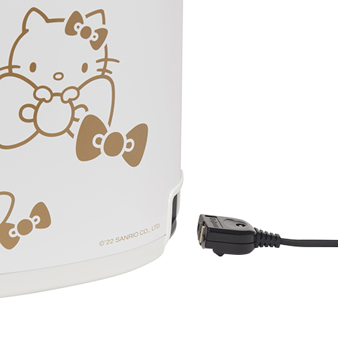 Removable magnetic power cord